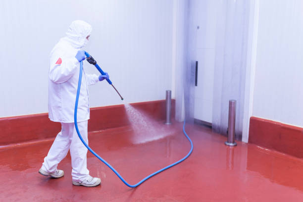 Reliable Blacklick Estates, OH Pressure Washing Services Solutions